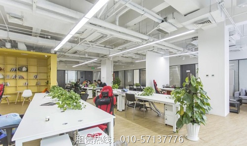 办公室图片6